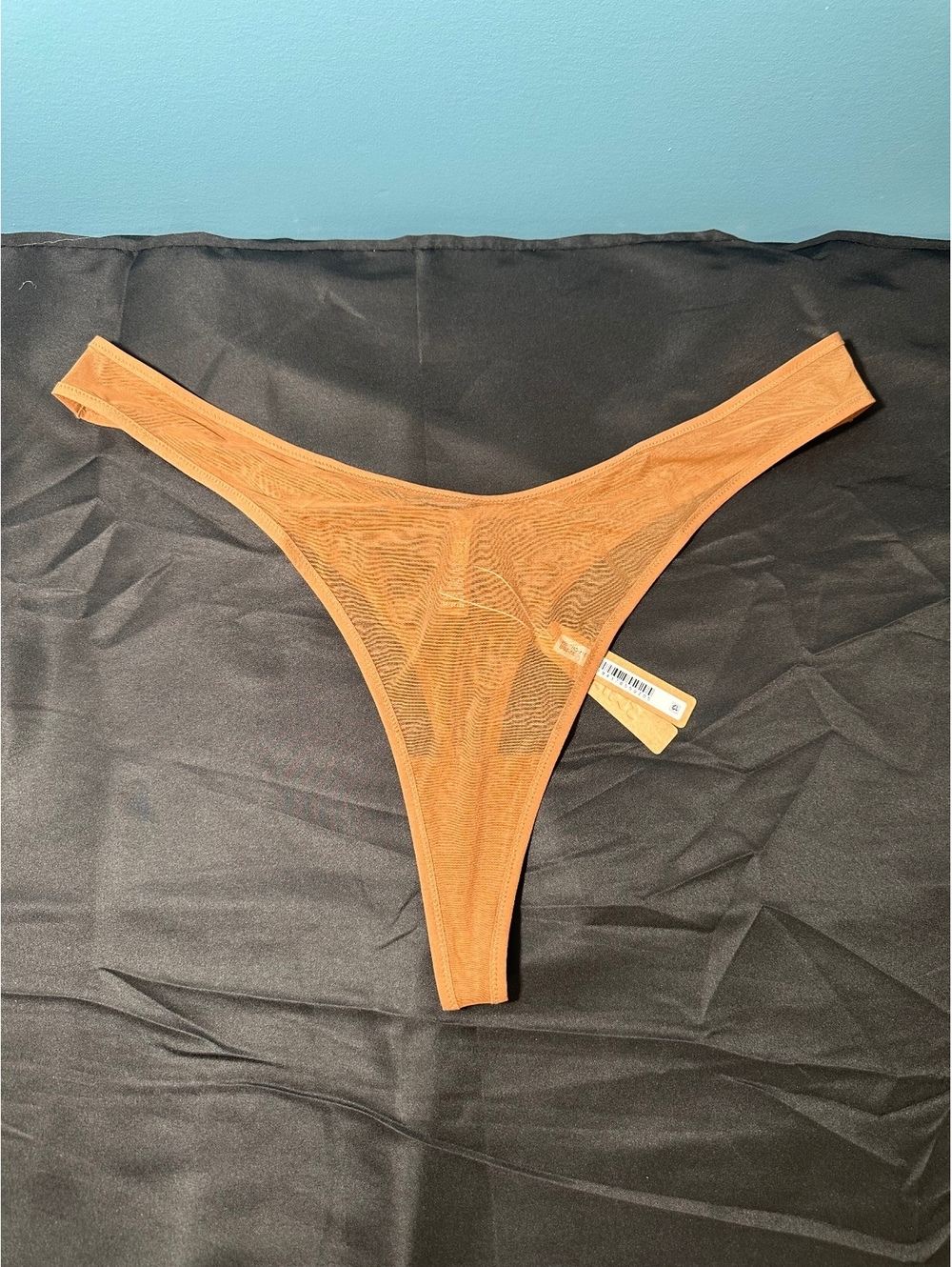 Skims Sheer Mesh Thong in Bronze 3X